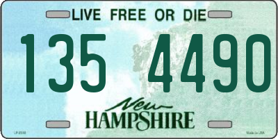 NH license plate 1354490