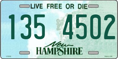 NH license plate 1354502