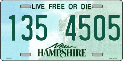 NH license plate 1354505