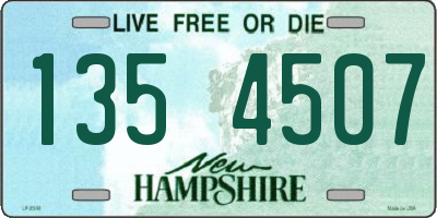 NH license plate 1354507