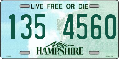NH license plate 1354560