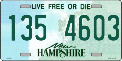 NH license plate 1354603