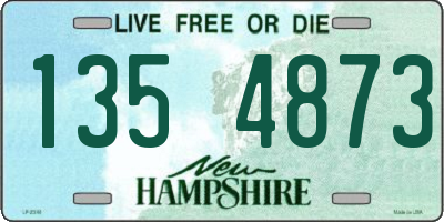 NH license plate 1354873