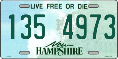 NH license plate 1354973