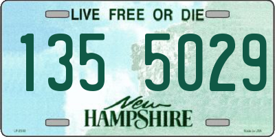 NH license plate 1355029