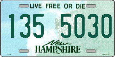 NH license plate 1355030