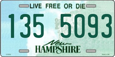 NH license plate 1355093