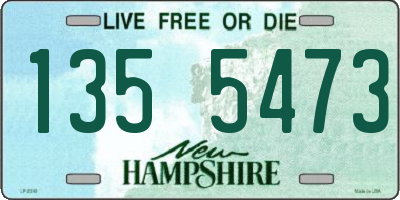 NH license plate 1355473