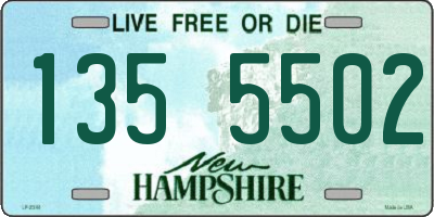 NH license plate 1355502