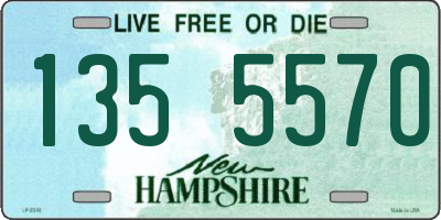 NH license plate 1355570