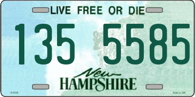 NH license plate 1355585