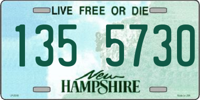 NH license plate 1355730