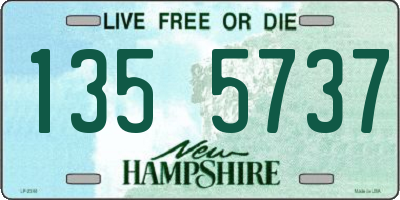 NH license plate 1355737