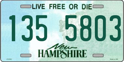 NH license plate 1355803