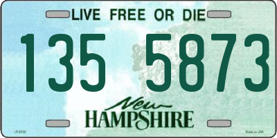 NH license plate 1355873