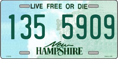 NH license plate 1355909