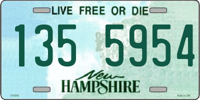 NH license plate 1355954