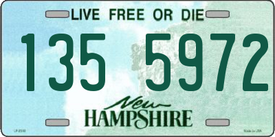NH license plate 1355972