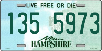 NH license plate 1355973