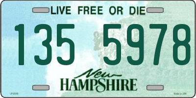 NH license plate 1355978
