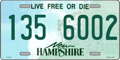 NH license plate 1356002