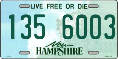 NH license plate 1356003