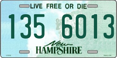 NH license plate 1356013