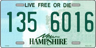 NH license plate 1356016