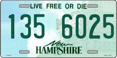 NH license plate 1356025