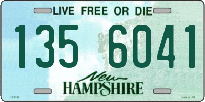 NH license plate 1356041