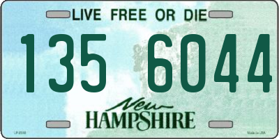 NH license plate 1356044