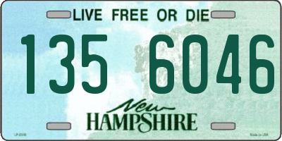 NH license plate 1356046