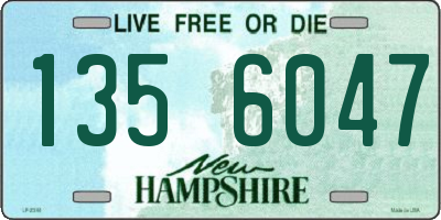 NH license plate 1356047