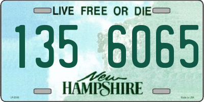 NH license plate 1356065