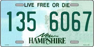 NH license plate 1356067