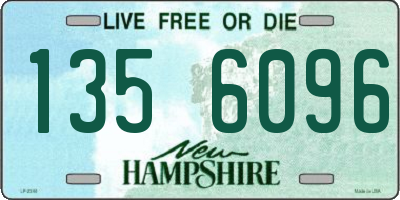 NH license plate 1356096