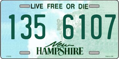 NH license plate 1356107