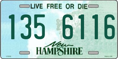 NH license plate 1356116