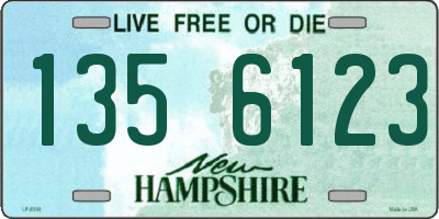 NH license plate 1356123
