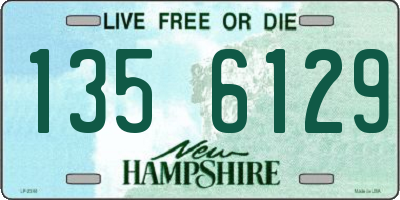 NH license plate 1356129
