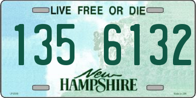 NH license plate 1356132