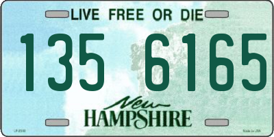 NH license plate 1356165