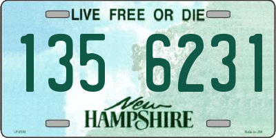 NH license plate 1356231