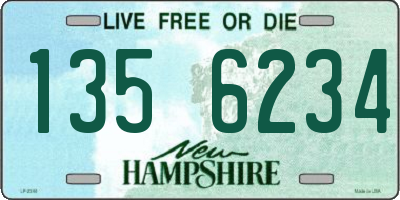 NH license plate 1356234