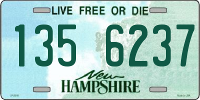NH license plate 1356237