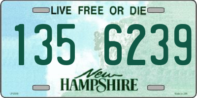 NH license plate 1356239