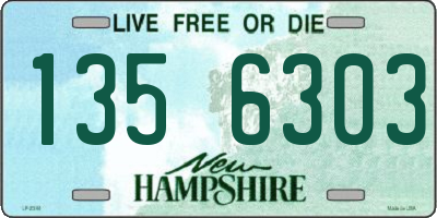 NH license plate 1356303