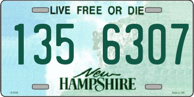 NH license plate 1356307