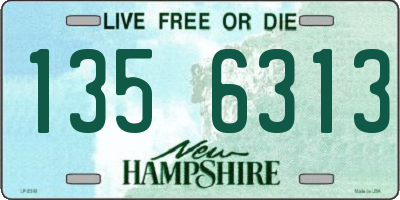 NH license plate 1356313