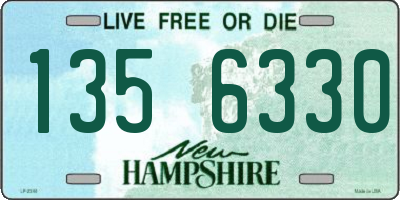 NH license plate 1356330